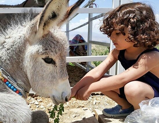 بوی آبادی زیر آسمان شهر