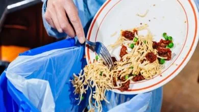 وقتی جنگ به سفره میرسد؛ چرا بازیافت ضایعات غذایی یک فناوری دفاعی است؟ وقتی جنگ به سفره میرسد؛ چرا بازیافت ضایعات غذایی یک فناوری دفاعی است؟