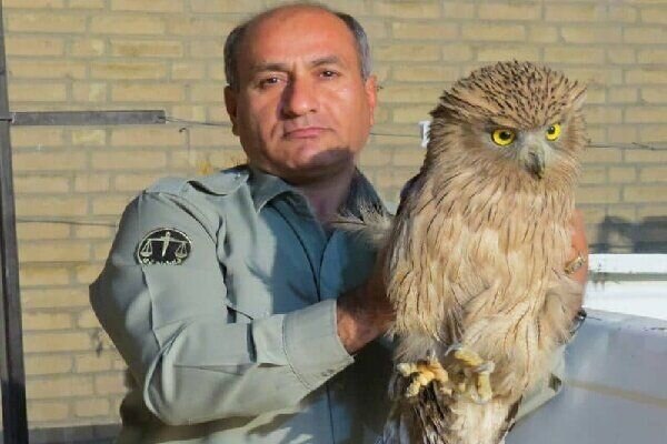 محیط‌بانی با دستان بسته | او رفت و خائیز شد قتلگاهش