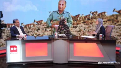 پایگاه اطلاع افق اقتصادی فردا