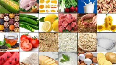 پایگاه اطلاع افق اقتصادی فردا