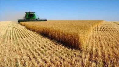 پایگاه اطلاع افق اقتصادی فردا