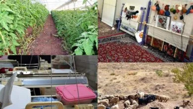 پایگاه اطلاع افق اقتصادی فردا