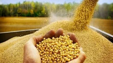 پایگاه اطلاع افق اقتصادی فردا