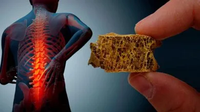 پایگاه اطلاع افق اقتصادی فردا