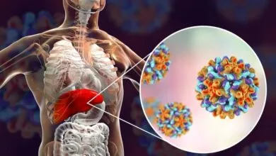 پایگاه اطلاع افق اقتصادی فردا