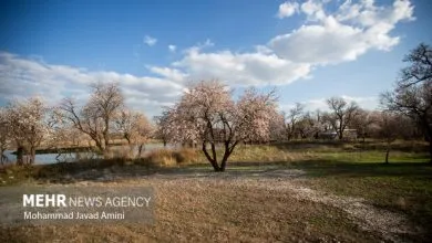 تشدید برخورد با ساختوسازهای غیرمجاز در باغستان سنتی قزوین تشدید برخورد با ساختوسازهای غیرمجاز در باغستان سنتی قزوین